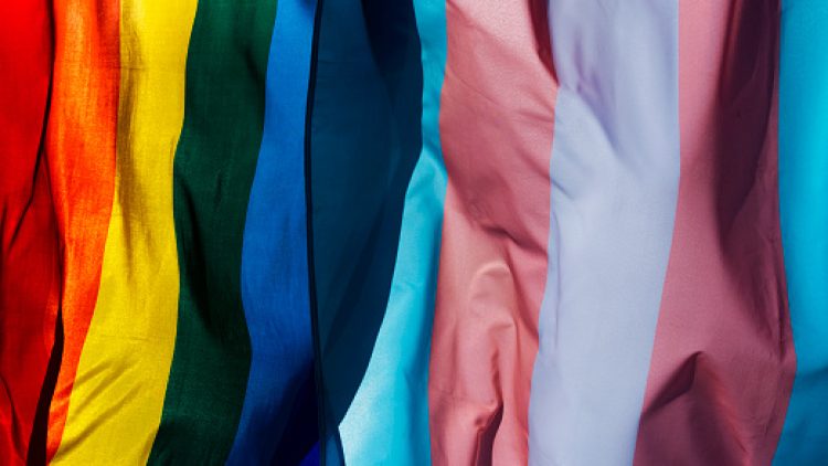 Disponível a lista de selecionades para o curso de formação de ativistas LGBTQIA+