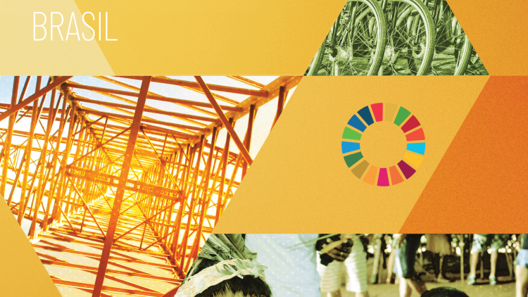 VI Relatório Luz da Sociedade Civil para a Agenda 2030 de Desenvolvimento Sustentável – Brasil